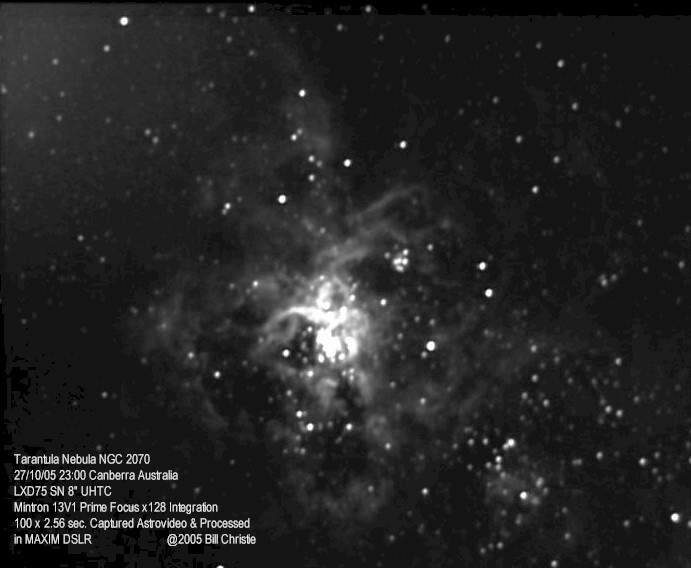 Tarantula Nebula NGC 2070 27Oct05.jpg (33065 bytes)